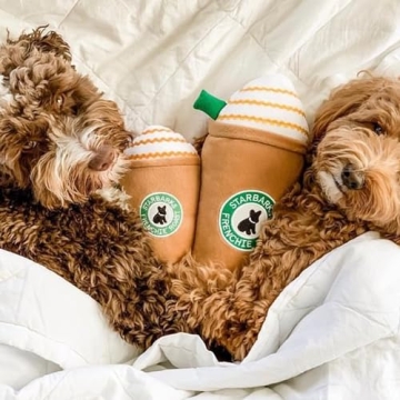 Haute Diggity Dog Starbarks Frappawcino Plush Dog Toy