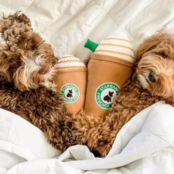 Haute Diggity Dog Starbarks Frappawcino Plush Dog Toy