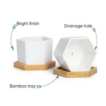 Greenaholics Small Succulent Plant Pots - 2.76 Inch White Ceramic Planter Indoor Mini Flowers Containers for Succulents or Cactus with Drainage and Bamboo Tray - Set of 4