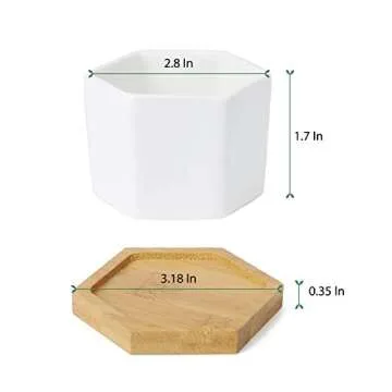 Greenaholics Small Succulent Plant Pots - 2.76 Inch White Ceramic Planter Indoor Mini Flowers Containers for Succulents or Cactus with Drainage and Bamboo Tray - Set of 4