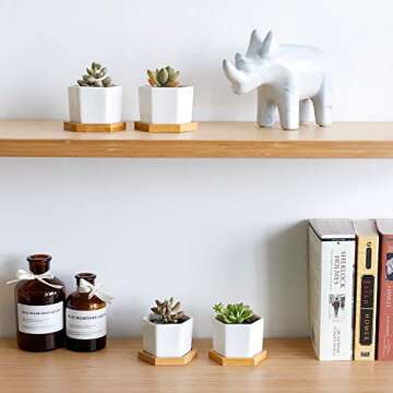 Greenaholics Small Succulent Plant Pots - 2.76 Inch White Ceramic Planter Indoor Mini Flowers Containers for Succulents or Cactus with Drainage and Bamboo Tray - Set of 4