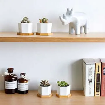 Greenaholics Small Succulent Plant Pots - 2.76 Inch White Ceramic Planter Indoor Mini Flowers Containers for Succulents or Cactus with Drainage and Bamboo Tray - Set of 4
