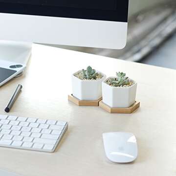 Greenaholics Small Succulent Plant Pots - 2.76 Inch White Ceramic Planter Indoor Mini Flowers Containers for Succulents or Cactus with Drainage and Bamboo Tray - Set of 4