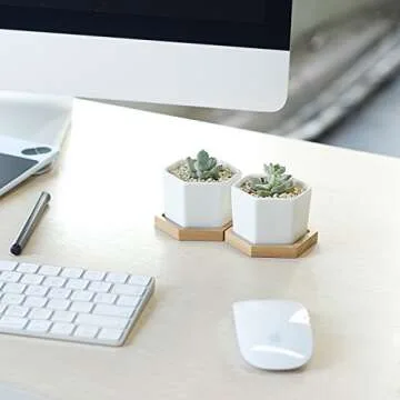 Greenaholics Small Succulent Plant Pots - 2.76 Inch White Ceramic Planter Indoor Mini Flowers Containers for Succulents or Cactus with Drainage and Bamboo Tray - Set of 4