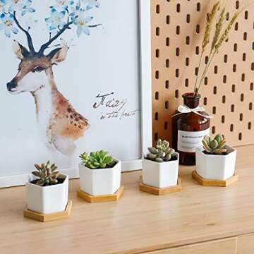 Greenaholics Small Succulent Plant Pots - 2.76 Inch White Ceramic Planter Indoor Mini Flowers Containers for Succulents or Cactus with Drainage and Bamboo Tray - Set of 4