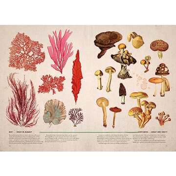 Explore Illustrated Botany: The Virtual Plant Museum
