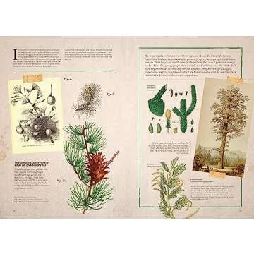 Explore Illustrated Botany: The Virtual Plant Museum