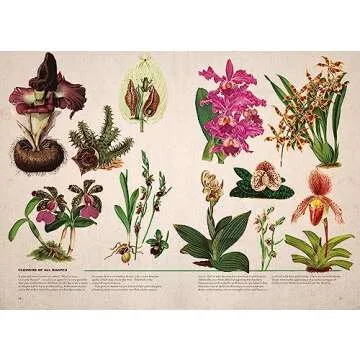 Explore Illustrated Botany: The Virtual Plant Museum