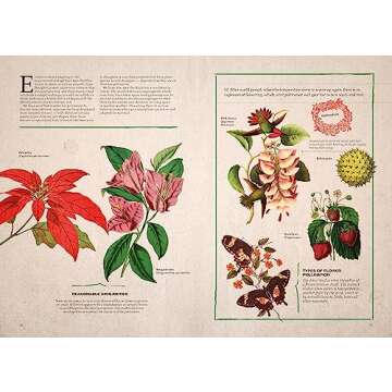 Explore Illustrated Botany: The Virtual Plant Museum