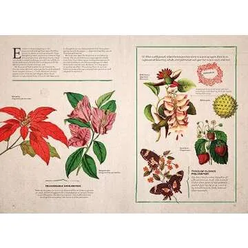 Explore Illustrated Botany: The Virtual Plant Museum