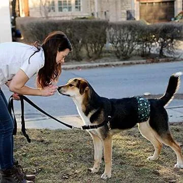 Leekalos Male Dog Diapers - High Absorbing & Washable