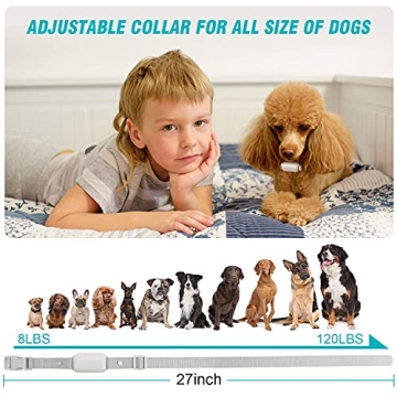 Bousnic Dog Training Collar - Waterproof, Rechargeable, Effective