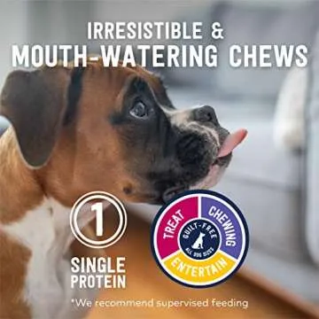ZIWI Dog Chews and Treats – Lamb Ears - All Natural, Air-Dried, Single Protein, Grain-Free, High-Value Treat, Snack, Reward 2.1 Ounce (Pack of 1)