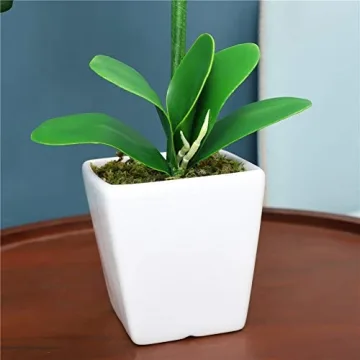 Beautiful YSZL 15" Silk Phalaenopsis Orchid in Pot