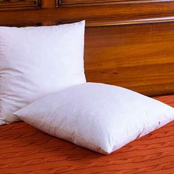 Two Pillow Inserts, 20 X 20 Inch, Down and Feather Throw Pillow Insert, The Fabric is Cotton, Decorative Throw Pillows Insert. These Products are Only Sold by DOWNIGHT and Fulfilled by Amazon.