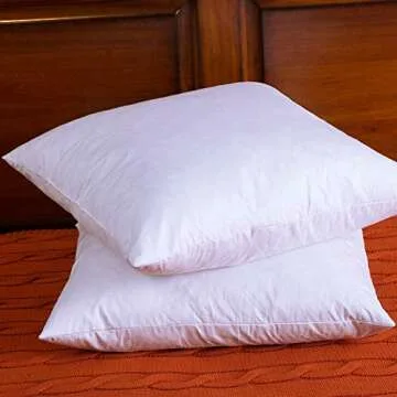 Two Pillow Inserts, 20 X 20 Inch, Down and Feather Throw Pillow Insert, The Fabric is Cotton, Decorative Throw Pillows Insert. These Products are Only Sold by DOWNIGHT and Fulfilled by Amazon.