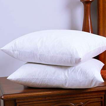 Two Pillow Inserts, 20 X 20 Inch, Down and Feather Throw Pillow Insert, The Fabric is Cotton, Decorative Throw Pillows Insert. These Products are Only Sold by DOWNIGHT and Fulfilled by Amazon.