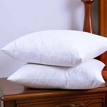 Two Pillow Inserts, 20 X 20 Inch, Down and Feather Throw Pillow Insert, The Fabric is Cotton, Decorative Throw Pillows Insert. These Products are Only Sold by DOWNIGHT and Fulfilled by Amazon.