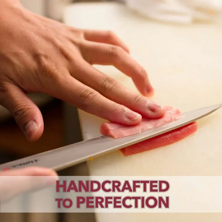 Hattori Sujihiki Chef Knife - 9 inch VG-10 Steel