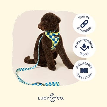 Lucy & Co. Reversible Dog Harness for All Sizes