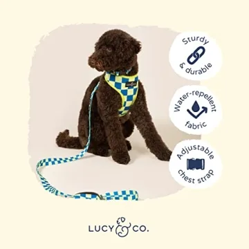 Lucy & Co. Reversible Dog Harness for All Sizes