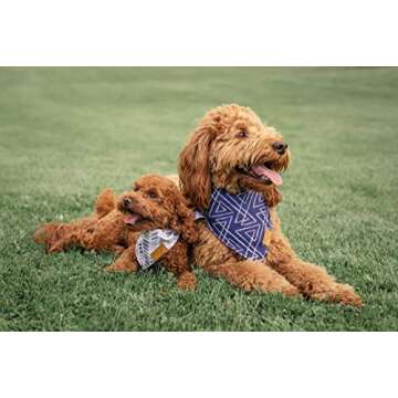 Remy+Roo Dog Bandanas - 4 Pack | Classic Set | Premium Durable Fabric | Patented Shape | Adjustable Fit | Multiple Sizes Offered (Large)