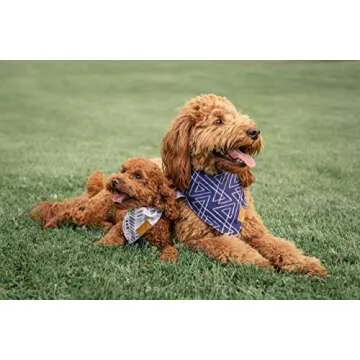 Remy+Roo Dog Bandanas - 4 Pack | Stylish Durable Fabric | Adjustable Fit | Large Size