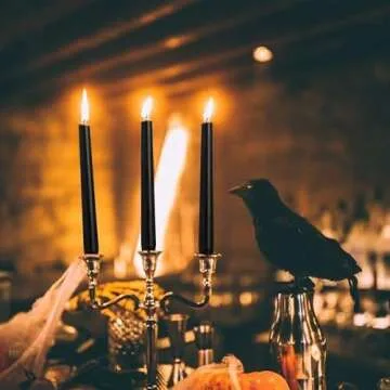 JHENG 10 Inch BlackTaper Candles, 14 Pack Tall Unscented Dripless with Cotton Wicks Perfect for Dinner, Party, Wedding or Farmhouse Decor, 7-8 Hour Burn Time- 7/8'' Base (Black)