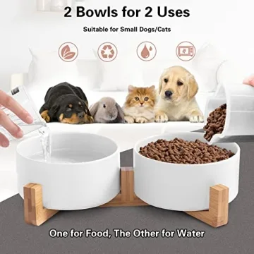 Ihoming Cat Bowls Set with Stylish Wood Stand