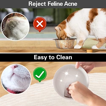 Ihoming Cat Bowls Set with Stylish Wood Stand