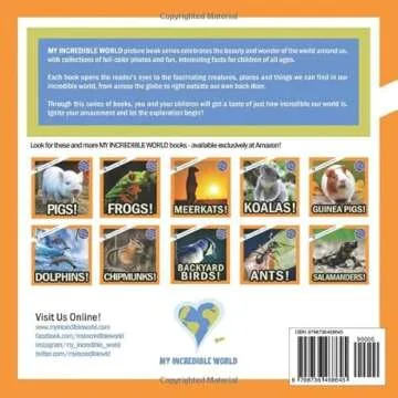 Spiders!: A My Incredible World Picture Book for Children (My Incredible World: Nature and Animal Pi...