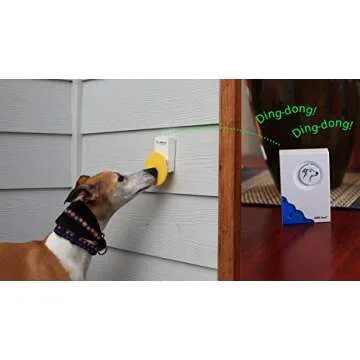 Pebble Smart Doggie Doorbell for Easy Training