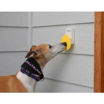Pebble Smart Doggie Doorbell for Easy Training