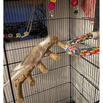 Bolagar Bird Parrot Ladder Perch - Natural Wooden Bird Bridge Exercise Stand