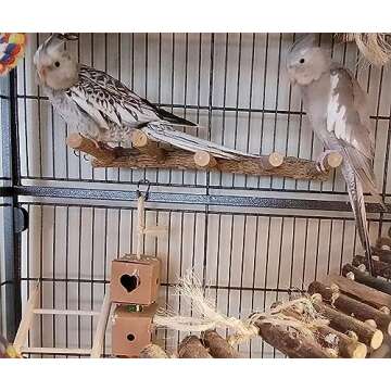Bolagar Wooden Bird Ladder Perch for Small Animals