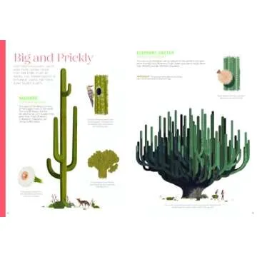Discover the Wonders of Plants - Incredible: Stars of the Plant World