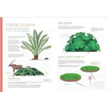 Discover the Wonders of Plants - Incredible: Stars of the Plant World