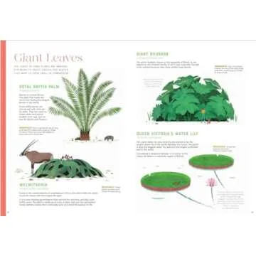 Discover the Wonders of Plants - Incredible: Stars of the Plant World