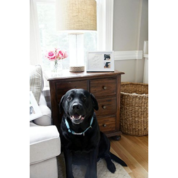 Ultimate Dog or Cat Paw Print Keepsake Kit & Picture Frame - Premium Wooden Photo Frame, Clay Mold for Pet Pawprint & Bonus Stencil. Makes a Personalized Gift for Pet Lovers and Memorials (White)