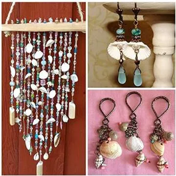 Natural Clamrose Seashells for DIY Craft Home Decoration