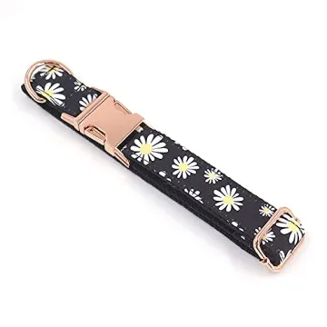 PETDURO Personalized Dog Collar - Floral Design & Safety Features