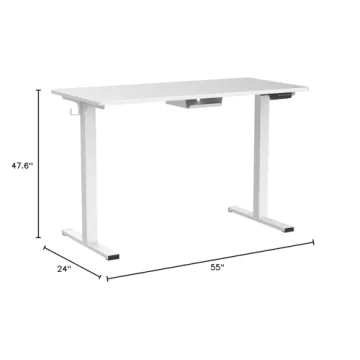 FLEXISPOT Adjustable Electric Stand Up Desk 55x24