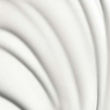 Living proof Perfect hair Day Healthy Hair Perfector