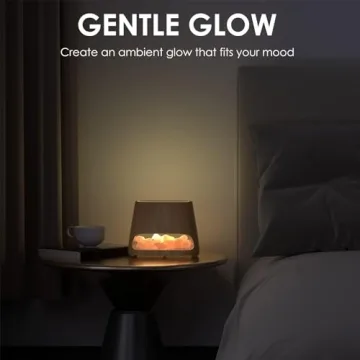 SALKING 2-in-1 Essential Oil Diffuser Himalayan Salt Lamp