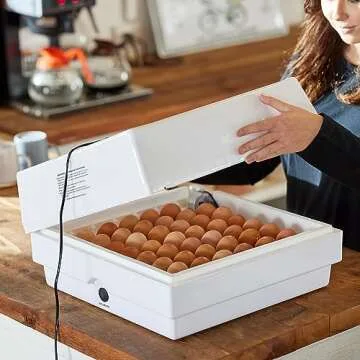 Farm Innovators 41 Egg Digital Circulated Air Incubator w/Auto Turning & Humidity Control