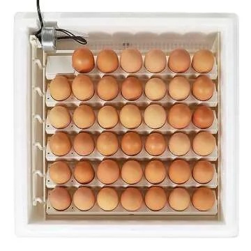 Farm Innovators 41 Egg Digital Circulated Air Incubator w/Auto Turning & Humidity Control