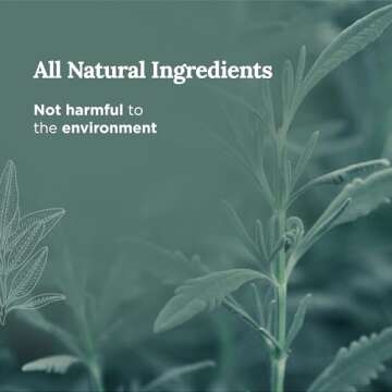 Magnificent 101 Long Lasting Pure White Sage Candle - 6 Oz - 35 Hour Burn Time | Organic, All Natural, Soy Candle to Cleanse Your Home & Calm, Soothe, Use with Sage Smudge Kit