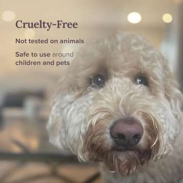 Magnificent 101 Long Lasting Pure White Sage Candle - 6 Oz - 35 Hour Burn Time | Organic, All Natural, Soy Candle to Cleanse Your Home & Calm, Soothe, Use with Sage Smudge Kit