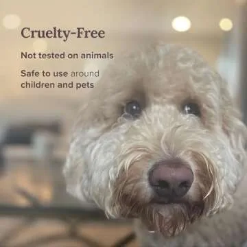 Magnificent 101 Long Lasting Pure White Sage Candle - 6 Oz - 35 Hour Burn Time | Organic, All Natural, Soy Candle to Cleanse Your Home & Calm, Soothe, Use with Sage Smudge Kit