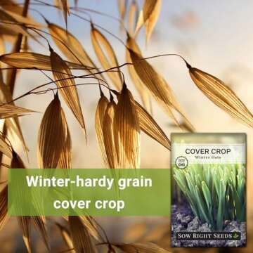 Sow Right Seeds - Winter Oats Seed for Planting - Cover Crops to Plant in Your Home Vegetable Garden - Enriches Soil - Suppresses Weeds - Helps Erosion - Non-GMO Heirloom Seeds - Great Gardening Gift